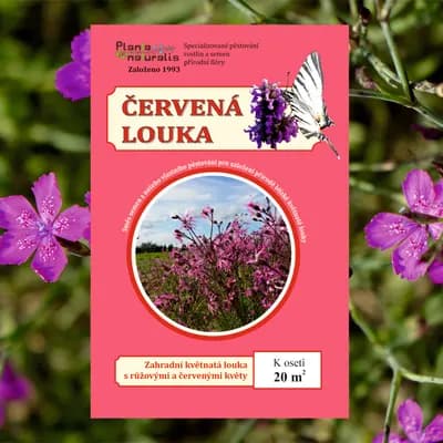 Červená louka - náhled 1