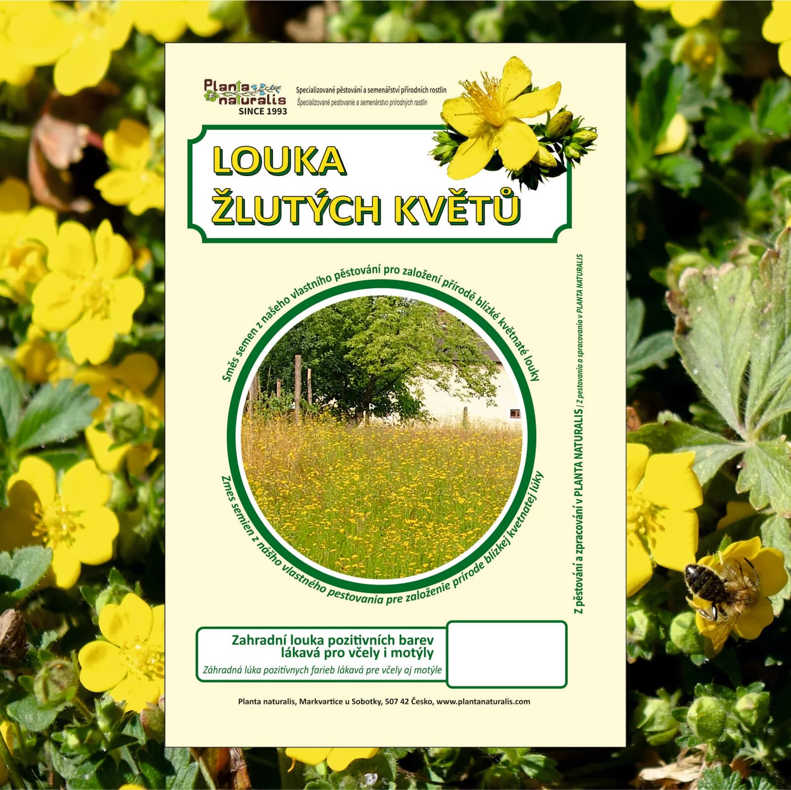 Louka žlutých květů - obrázek 1