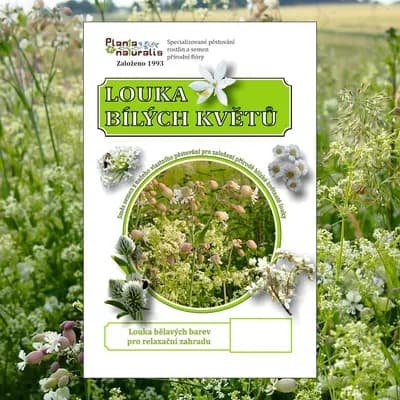 Louka bílých květů - náhled 1