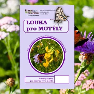 Louka pro motýly - náhled 1