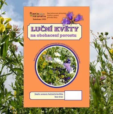 Luční květy - náhled 1