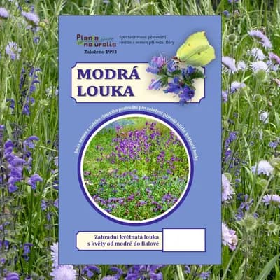 Modrá louka, zvonečková - náhled 1