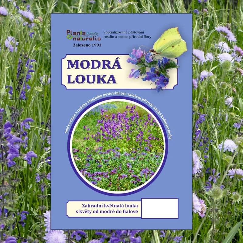 Modrá louka, zvonečková