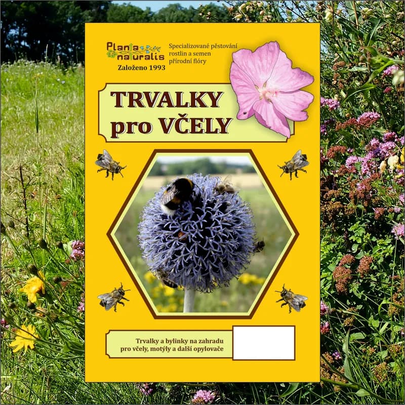 Trvalky pro včely