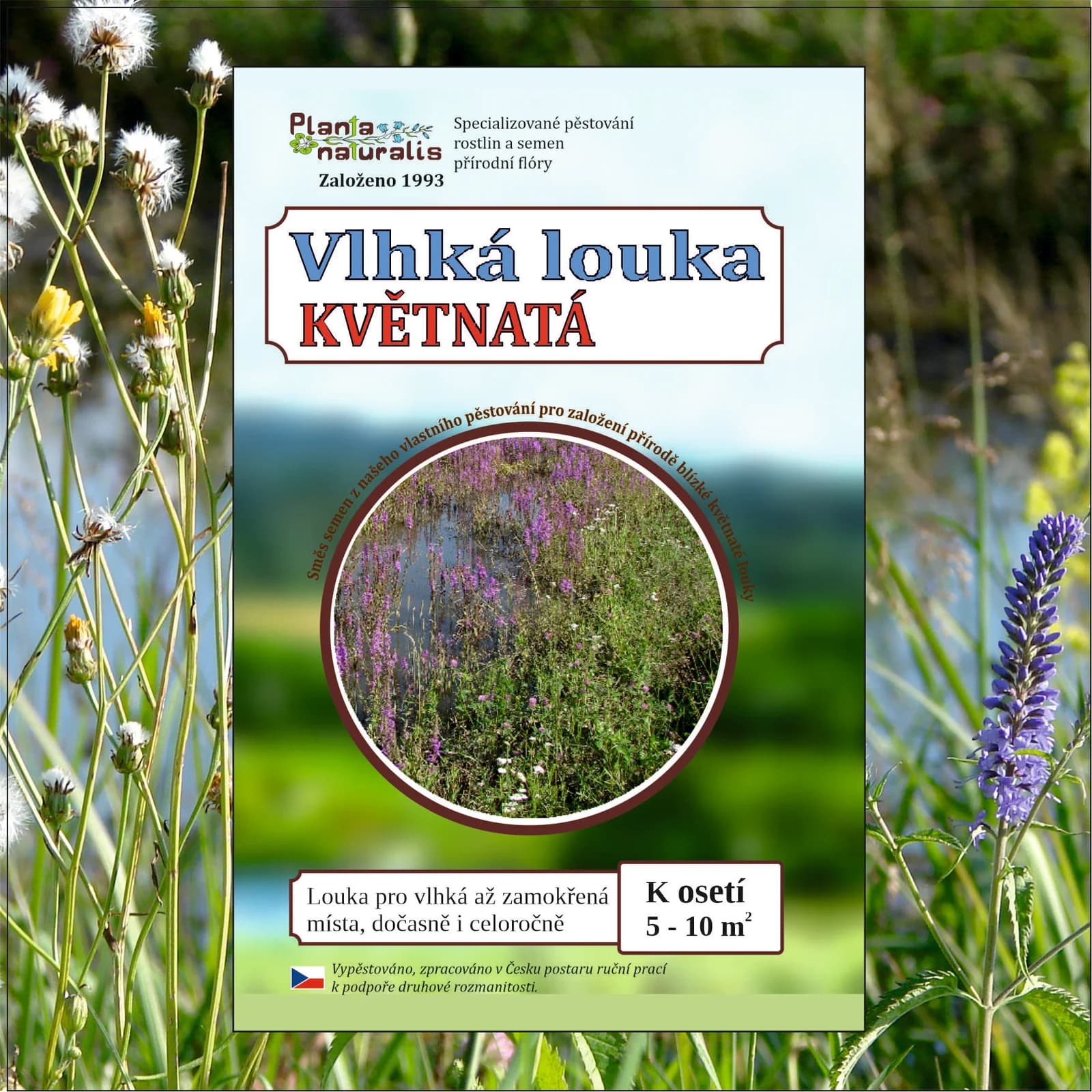Vlhká louka - obrázek 1