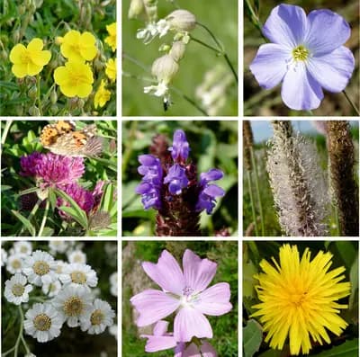 Zahradní loučka - náhled 3