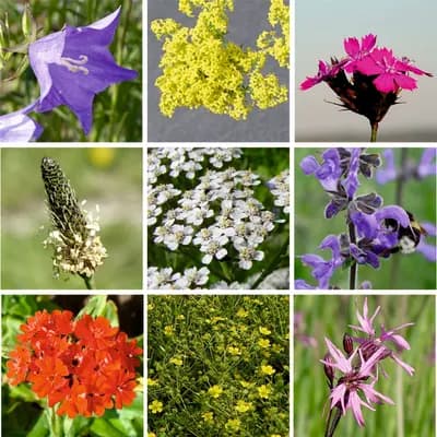 Zahradní loučka - náhled 5