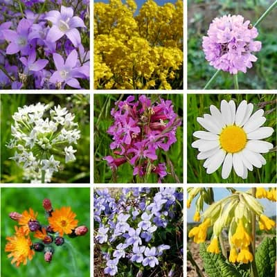 Zahradní loučka - náhled 6