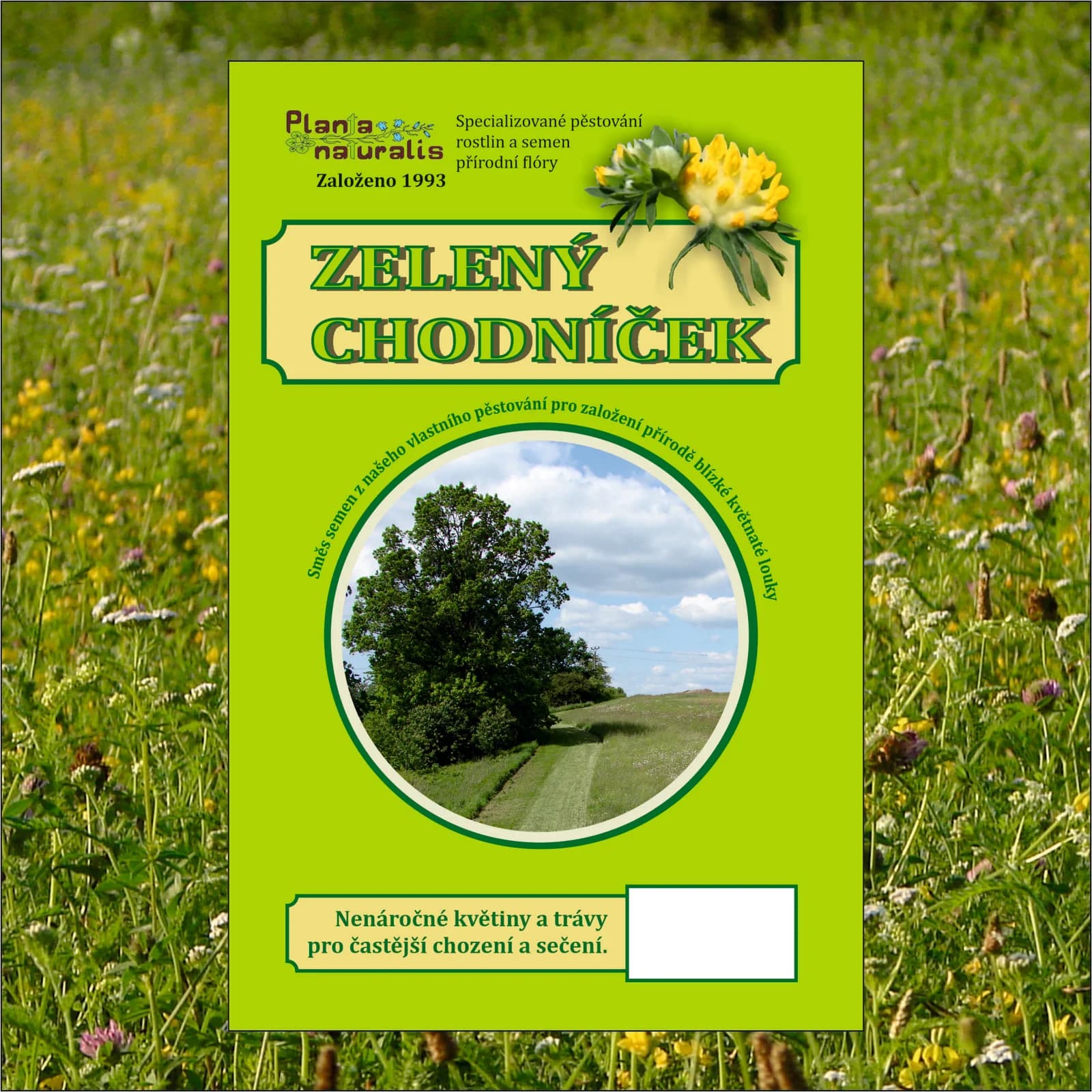 Zelený chodníček - obrázek 1